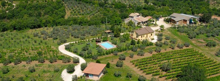 Villa Fattoria Del Quondam à Giano dellʼUmbria Extérieur photo